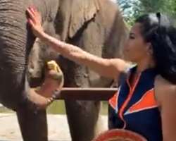 The star is an animal lover and enjoys feeding them.
